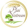 plai_nistrean