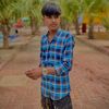 priceibrar7o