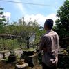 budizae02