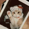 tky_168