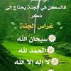 user35878150308010
