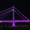 meshari.mohammed5