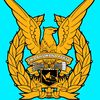 tniau48