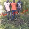 user3423587619375