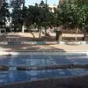 ahmad.kanui