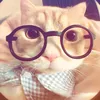_ngocw.kitty