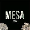 mesa__team