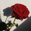 _jandagarut_