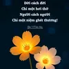 kim.anh_992