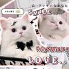 zahra17_1402