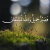 youssef.mohammed2915