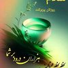 user4994917043472