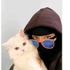 asmaahassan6440