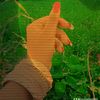 rima.akter6682