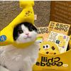 Cat planet explorer