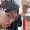 phm.hoi799