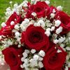 mohammad.jamal7126
