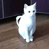 vasiliy.perdun