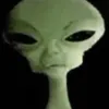 kineli307