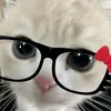 janah_z04