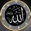 user3538125852258
