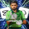 cricket_editor073