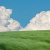 naturedb