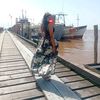 christine.gudge5