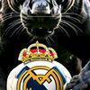 user13154038418676