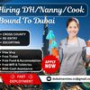 filipino.nannies