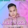 arie.arka0101