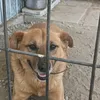 marcel.rzepa4