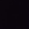 ramin_2123.v