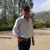 walid.moughrabi