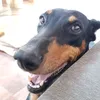 martinoangelo