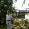murat.paac
