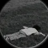 l_n89n