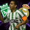 davidvelez7608