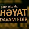 user9521450759046