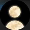 elnaz_218