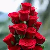 tariq.ali2691