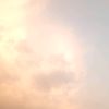 tiktok.comakhmetkulov.6