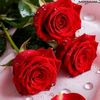 user691051061