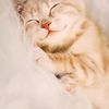 samia.samia6194