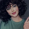 no_.y66