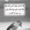 user8738221610248