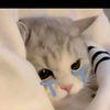 janethornelas955