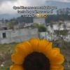 estefania8260