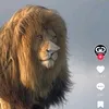 samikatanadz