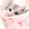 gayakitty